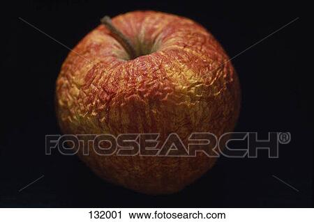 Stock Image - Rotting apple. Fotosearch