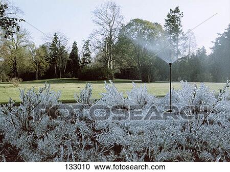 A sprinkler View Large Photo Image Stock Image - A sprinkler. Fotosearch