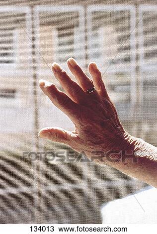 Close up of senior woman’s hand View Large Photo Image Stock Image - Close up of senior woman’s hand. Fotosearch