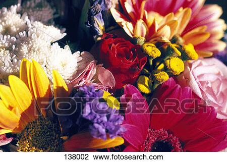 Close-up of a flower bouquet View Large Photo Image Stock Image - Close-up of a flower bouquet. Fotosearch