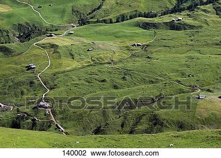 Stock Image - Green meadows from above. Fotosearch
