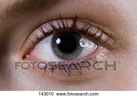 Close up of a female eye View Large Photo Image Stock Image - Close up of a female eye. Fotosearch