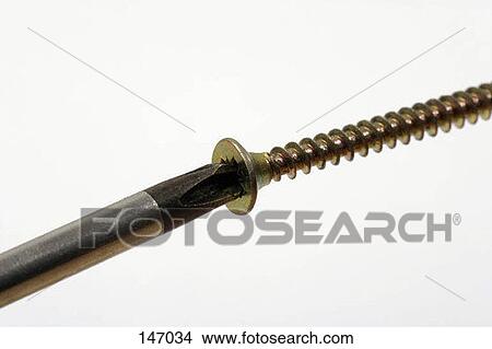 Picture - A screw and screw driver against a white background. Fotosearch