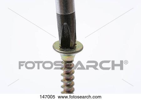 Stock Photography - Close-up of a screw and a screw driver against the white background. Fotosearch