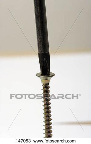 Close up of a screw and screw driver against a white background View Large Photo Image Stock Image - Close up of a screw and screw driver against a white background. Fotosearch