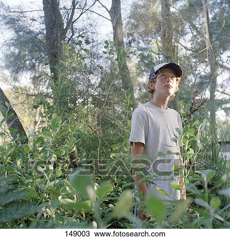 A boy standing in a forest View Large Photo Image Stock Image - A boy standing in a forest. Fotosearch