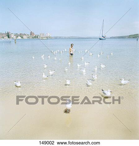A man standing amidst seagulls in a bay View Large Photo Image Stock Image - A man standing amidst seagulls in a bay. Fotosearch