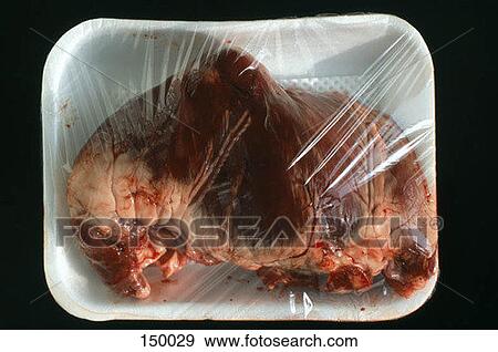 A piece of meat wrapped in plastic on a Styrofoam tray View Large Photo Image Stock Photo - A piece of meat wrapped in plastic on a Styrofoam tray. Fotosearch
