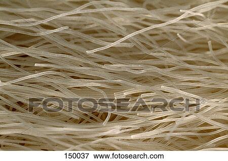 Stock Photo - Close up of raw glass noodles. Fotosearch