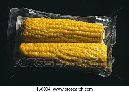 Close up of two corncobs packed in plastic View Large Photo Image Picture - Close up of two corncobs packed in plastic. Fotosearch