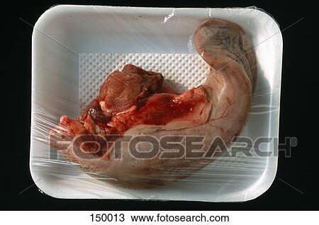 Top view of bloody cow tongue in plastic View Large Photo Image Stock Image - Top view of bloody cow tongue in plastic. Fotosearch