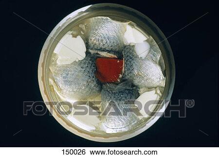 Stock Photograph - View from above of fish in a plastic container. Fotosearch