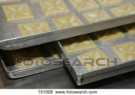 Side view of cookies placed in trays for baking View Large Photo Image Stock Photo - Side view of cookies placed in trays for baking. Fotosearch