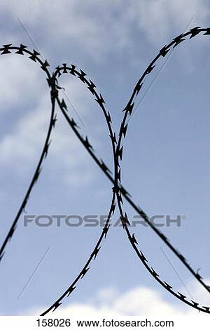 Barbed wire View Large Photo Image Stock Photograph - Barbed wire. Fotosearch