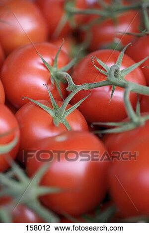 Stock Image - Close up of fresh red tomatoes. Fotosearch