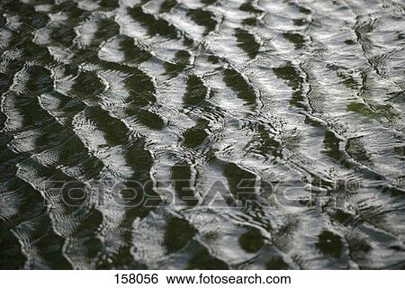 Small waves on a river View Large Photo Image Stock Photograph - Small waves on a river. Fotosearch