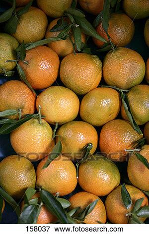 Stock Photo - Top view group of oranges. Fotosearch