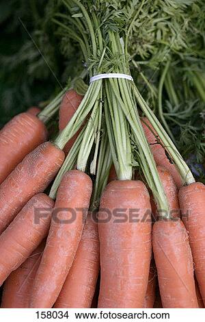 Top view of small group of carrots View Large Photo Image Picture - Top view of small group of carrots. Fotosearch