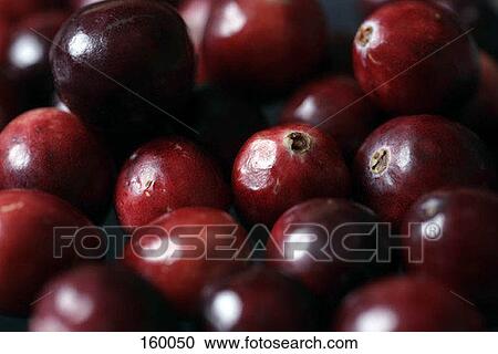 Stock Image - Cranberries. Fotosearch