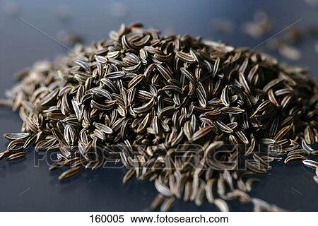 Stock Photography - Cumin. Fotosearch