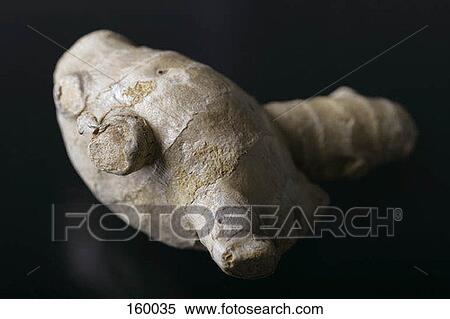 Stock Photography - Ginger root. Fotosearch