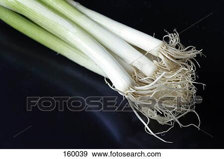 Stock Photo - Leeks. Fotosearch