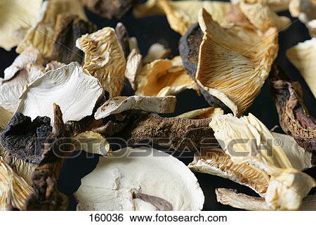 Stock Photograph - Mixed mushrooms. Fotosearch