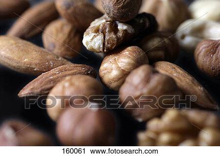 Mixed nuts View Large Photo Image Stock Image - Mixed nuts. Fotosearch