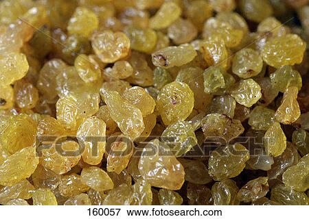 Stock Photo - Raisins. Fotosearch