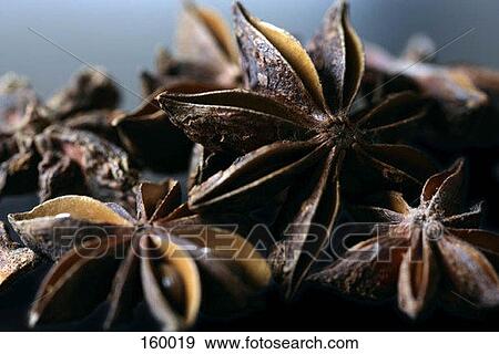 Stock Photo - Star anise. Fotosearch