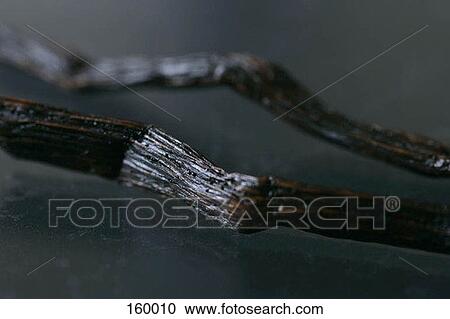 Two vanilla beans View Large Photo Image Stock Image - Two vanilla beans. Fotosearch