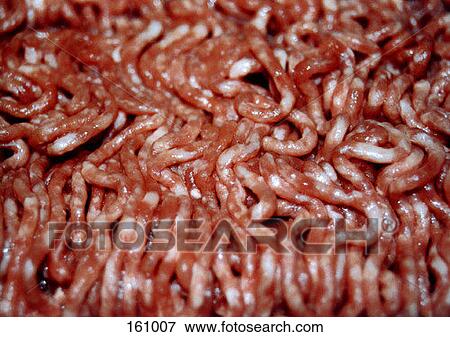Stock Photo - Ground beef. Fotosearch