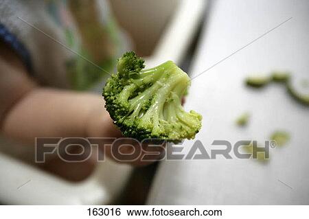 A baby holding broccoli View Large Photo Image Stock Photograph - A baby holding broccoli. Fotosearch