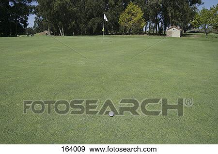 Stock Photo - A golf ball on a putting green. Fotosearch
