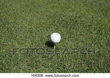 Stock Photo - A golf ball on a tee. Fotosearch