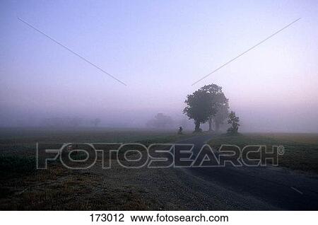 Stock Image - A rural road in a hazy landscape. Fotosearch