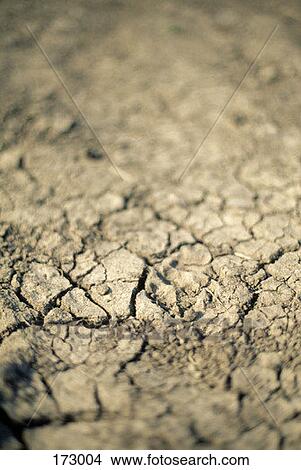 Picture - Dried earth. Fotosearch