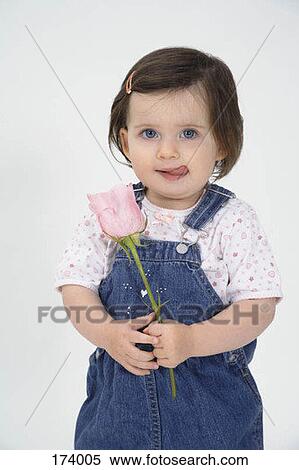 A baby holding a rose View Large Photo Image Stock Photography - A baby holding a rose. Fotosearch