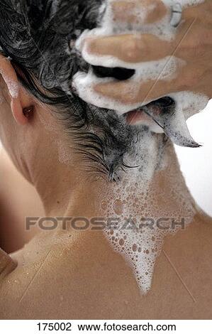 A woman washing her hair, rear view View Large Photo Image Stock Image - A woman washing her hair, rear view. Fotosearch