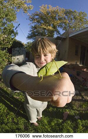 Stock Photograph - A young boy holding a Katydid bug. Fotosearch