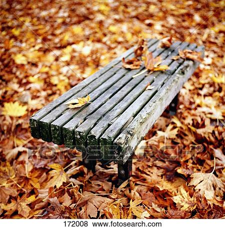 Park bench surrounded by autumn leaves View Large Photo Image Stock Photo - Park bench surrounded by autumn leaves. Fotosearch