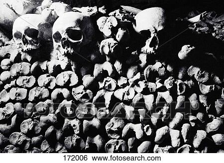 Three human skulls on a pile of bones, Les Catacombes, Paris, France View Large Photo Image Stock Photograph - Three human skulls on a pile of bones, Les Catacombes, Paris, France. Fotosearch