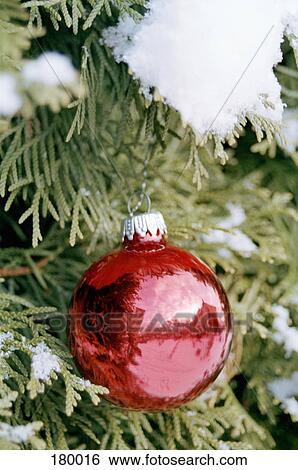 Stock Photograph - Red Christmas decoration hanging from Christmas tree. Fotosearch