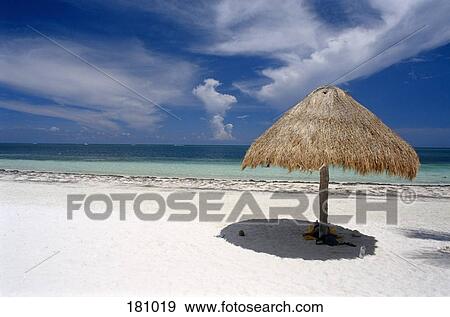 Stock Photograph Of Beach Scene With Thatched Umbrella Beach Scene With Thatched Umbrella Yucatan Mexico