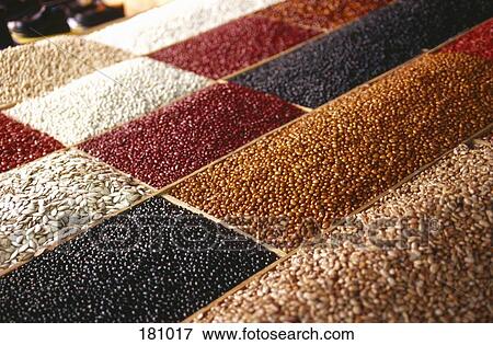 Stock Photo - Dried beans arranged in trays. Fotosearch