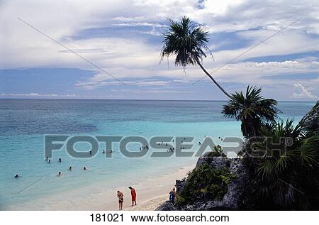 Stock Image - Wide view of people swimming on beach with rock and palm tree, Yucatan, Mexico. Fotosearch