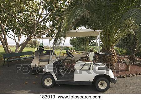 Two golf carts parked under trees View Large Photo Image Stock Photo - Two golf carts parked under trees. Fotosearch