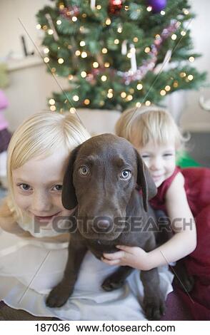Two young girls at Christmas with brown dog View Large Photo Image Stock Photograph - Two young girls at Christmas with brown dog. Fotosearch