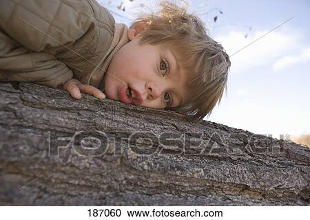 Young boy lying on log View Large Photo Image Stock Image - Young boy lying on log. Fotosearch