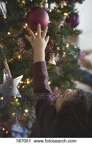 Young girl reaching for bauble on Christmas tree View Large Photo Image Stock Image - Young girl reaching for bauble on Christmas tree. Fotosearch